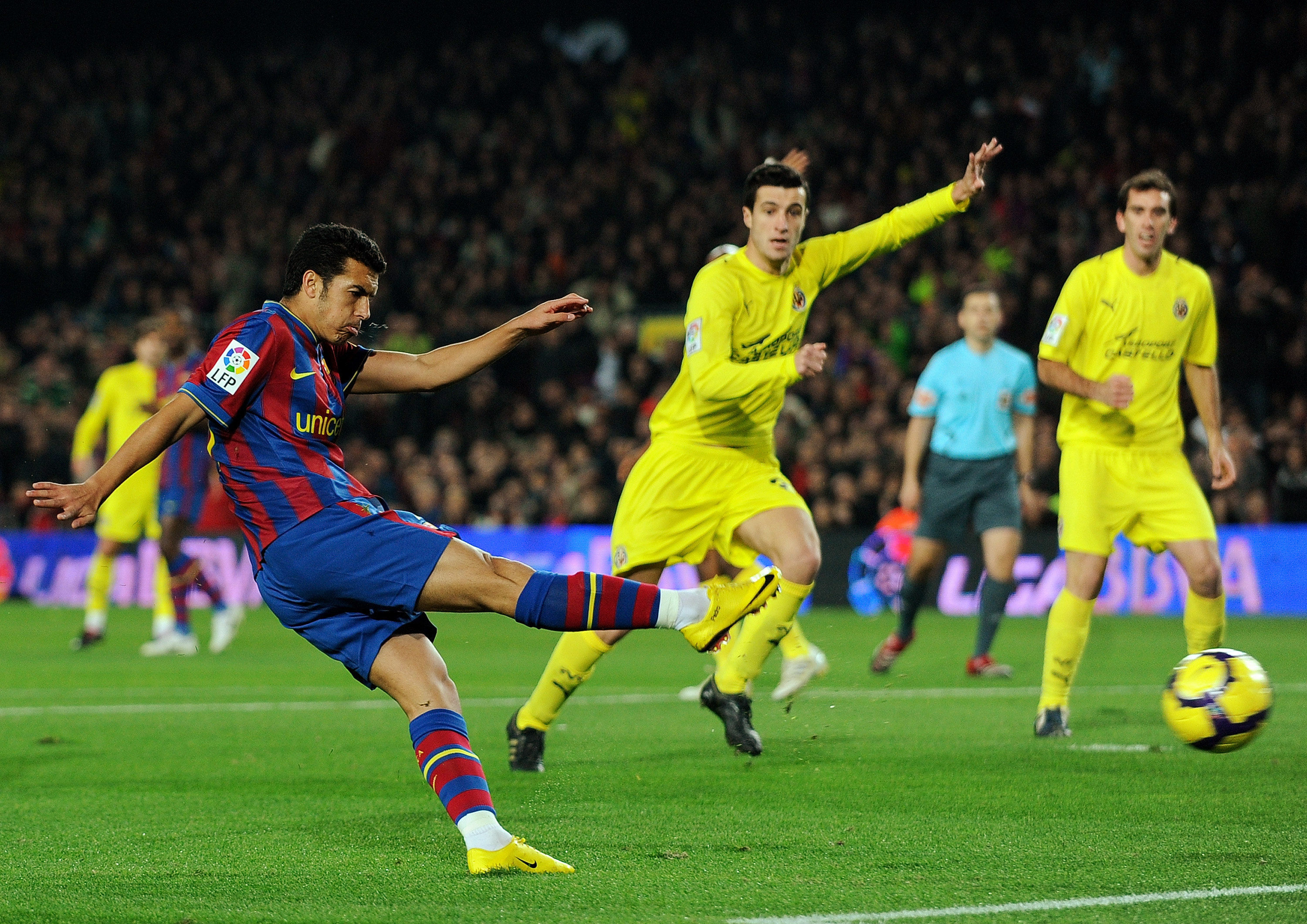 往让他们养 往让他们养