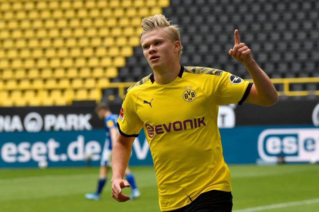 团队层面的 团队层面的